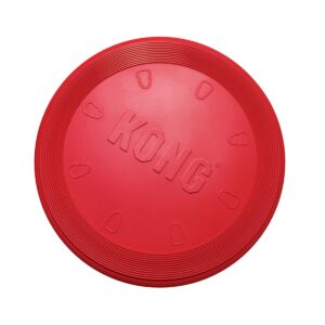 Kong Flyer Frisbee S