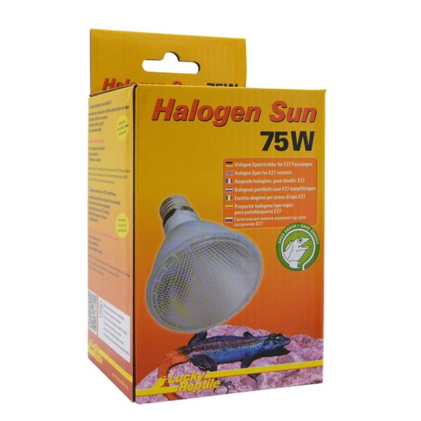 Lucky Reptile Halogen Sun 75W