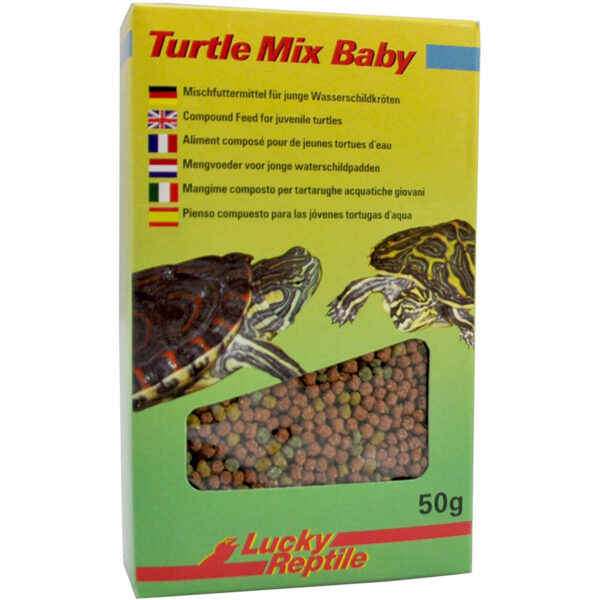 Lucky Reptile Turtle Mix Baby